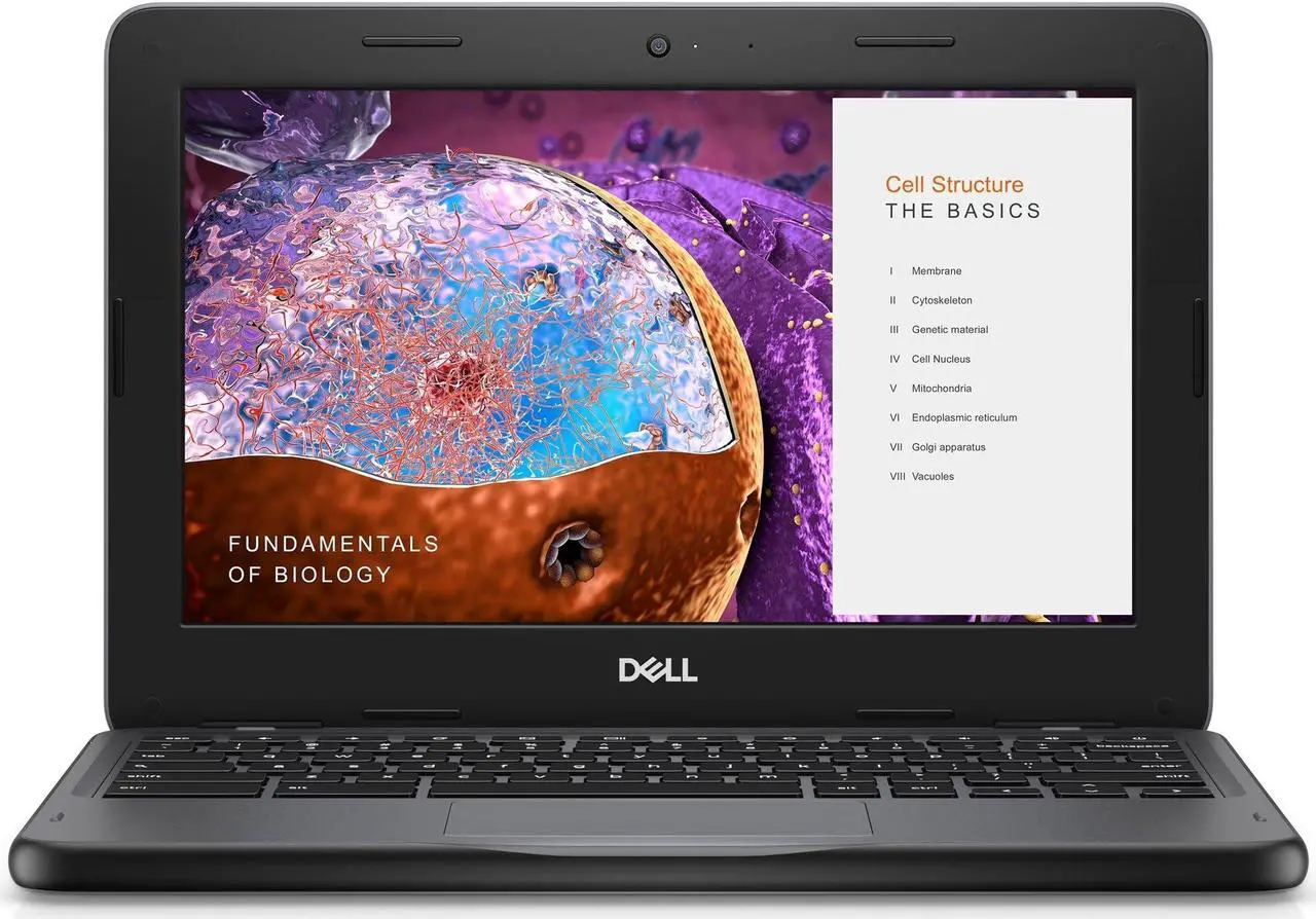 Dell Chromebook 3110